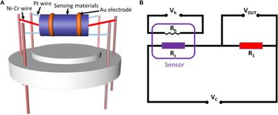 Hydrothermal Synthesis of Flake-Flower NiO and Its Gas Sensing Performance to CO